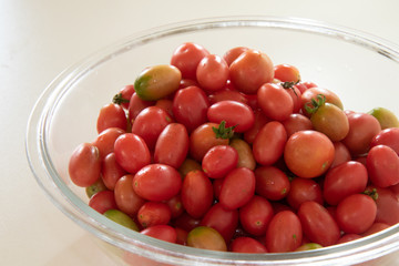 Recife / Pernambuco / Brazil. 1September, 10, 2019. Fresh organic tomatoes from farmers' settlements linked to the social movements of the Northeast.