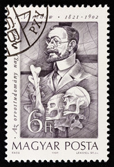 Rudolf Virchow, cell theory (Hungary 1989)