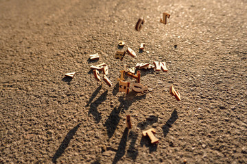 Letters fall on the asphalt, tinted photo of the English alphabet, learning and science.