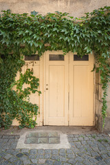 Fototapeta premium door of prague, prague, praha, praga