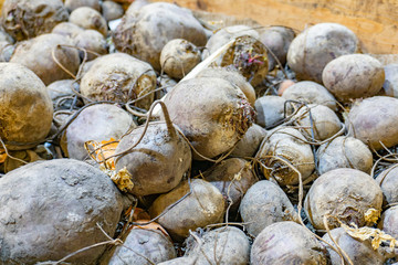 Beets in a supermarket on a store counter for sale.