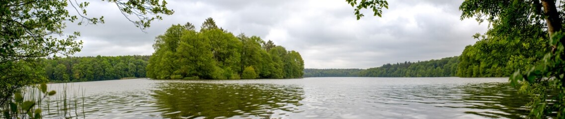 Fototapeta na wymiar See umgeben vom Wald mit bedecktem Himmel