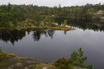 lake in the forest