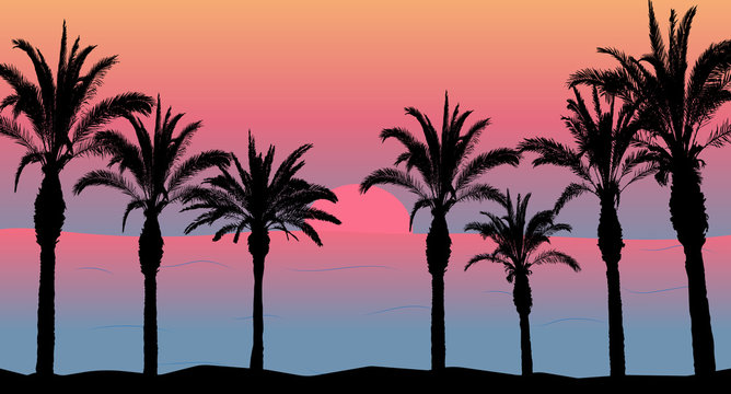 Palm trees and sea and sunset, beach silhouette. Beautiful scenery.