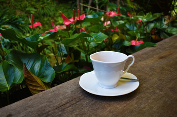 The white ceramic coffee cup is placed on the wood, the backdrop is a red anthurium garden.