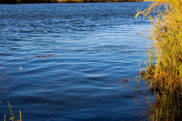 reflection in water