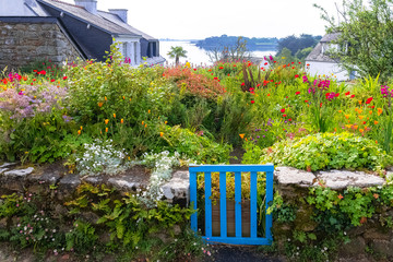 Charming dense garden in Brittany, with a blue gate and view on the sea