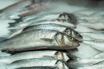 Fresh fish on ice. Sale of in farmers market, counter in supermarket. Open showcases of seafood market