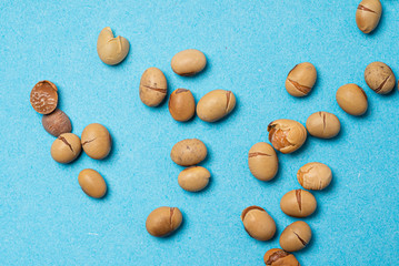roasted soy beans, top view