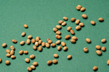 roasted soy beans, top view