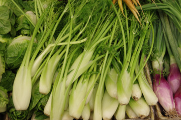 Close-up full frame view of a variety of organic vegetables displayed at a market stand