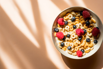 Bowl of muesli, strawberries and blueberries for healthy breakfast. Tasty breakfast with natural yogurt or milk, muesli and berries and pastel background.Cereal With Milk And fresh Berries.Copy space