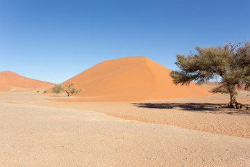Fototapeta na wymiar A huge orange dune in Sossusvlei