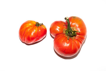 Tomates de cultivo ecológico de variedad Raf