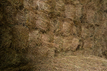 Stored hay bales wall  inside barn background. 