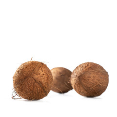 Three shaggy coconuts on white background, square
