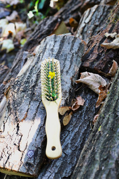wooden hair comb on the background of wooden briquettes, with dry leaves and grass and yellow flower, the concept of zero waste and no plastic