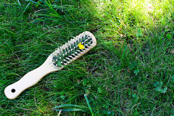 wooden hairbrush on green grass, concept zero waste and no plastic, copyspace