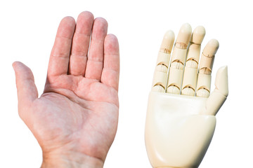 real and prosthetic hand side by side isolated on white