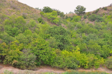  The landscape consists of mountains covered with vegetation.