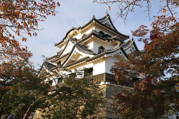 Fototapeta premium 晩秋の彦根城