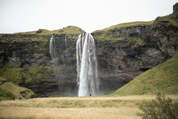 Fototapeta premium Waterfall in Iceland