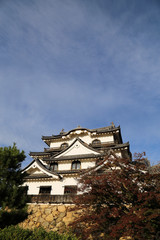 Fototapeta premium 晩秋の彦根城