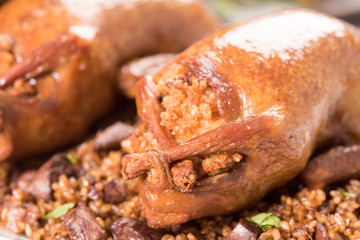 Oriental Roasted Hamam Meal with Mahshy and stuffed food