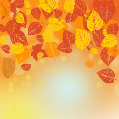 Autumn leaves banner illustration. Orange and yellow falling leaves.