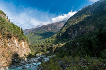 We started hiking through the wondrous pine tree forests and around the Dudh Kosi river. This river originates from the high-altitude areas of Mount Everest and provides the area with essential water - obrazy, fototapety, plakaty