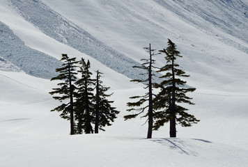 Mount Baker wilderness , WA , USA , spring  landscape with mountains and snow