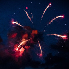 Fireworks bursting in the sky