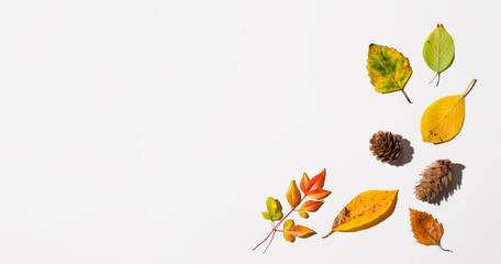 Fototapeta premium Autumn leaves from above - overhead view flat lay
