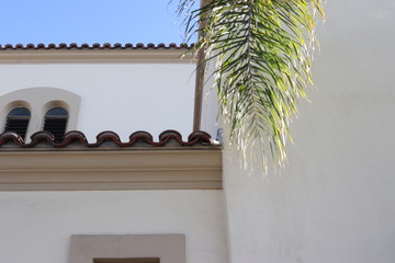 palm branch with white walls
