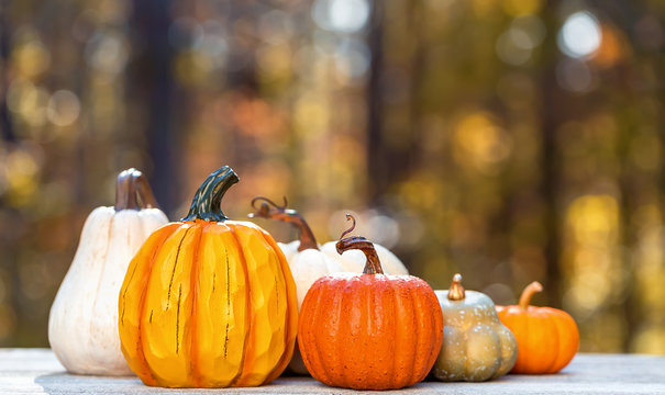 Variety of pumpkins outside on a fall forest background