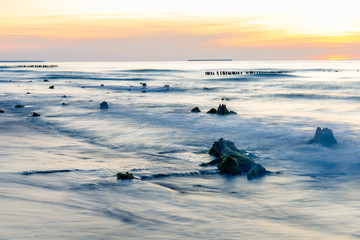 beautiful natural scene, wreckage of a relict forest at sea and long exposure waves at sunset
