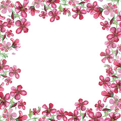 Fototapeta na wymiar Watercolor frame with pink wildflower.Watercolor meadow geranium. Illustration isolated on white background.