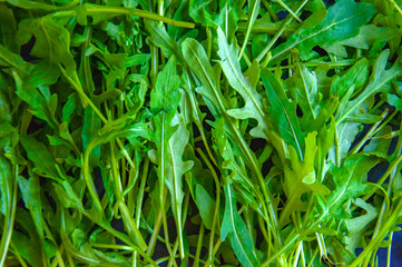 tomato, food, vegetable, fresh, green