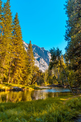 Lovely walk to walk in Yosemite valley. California, United States