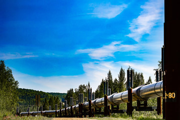 Oil Pipeline in Wildlife Habitat
