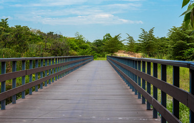 Fototapeta premium Bridge in the Woods