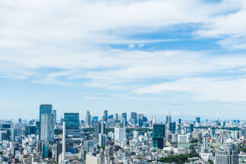 Fototapeta na wymiar 新宿と渋谷の町並みと空