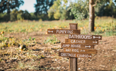 Pumpkin Patch Sign, wooden sign post, pumpkins, bathrooms, cashier, jump house, hay ride, obstacle course, arrow signpost