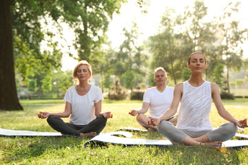People practicing yoga in park at morning