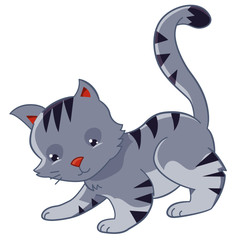 Cute Gray Cat Playing