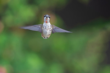 I'm Keeping and Eye On You