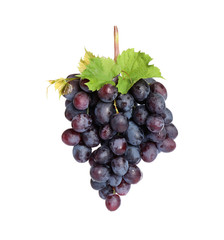 Bunch of fresh ripe juicy grapes isolated on white