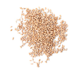 Pile of wheat grains on white background, top view. Cereal crop