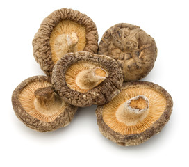 Dried Shiitake Mushroom isolated on white background