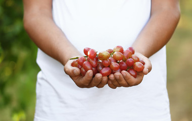 Man holding bunch of fresh ripe juicy grapes outdoors, closeup